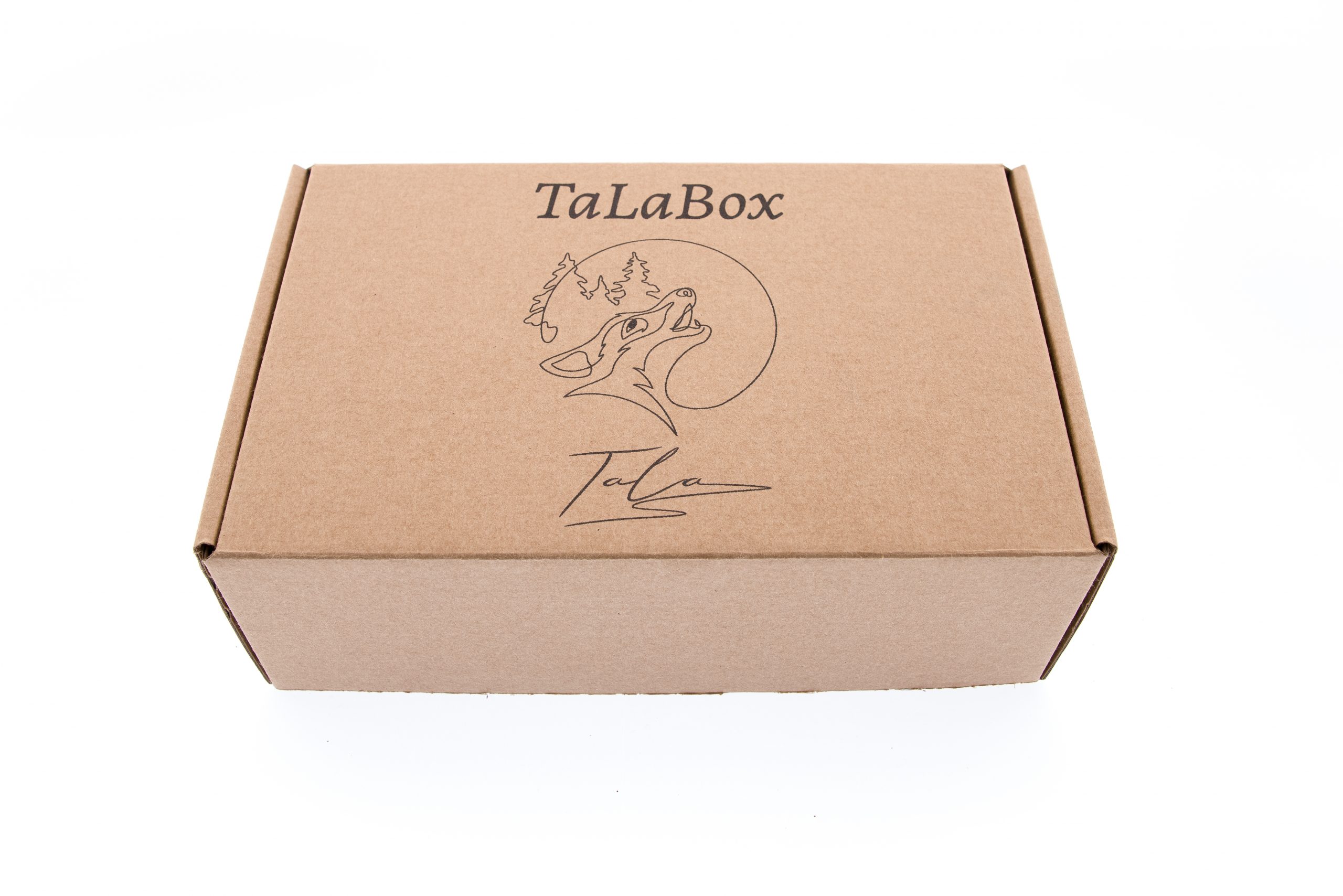 đ Christmas Box â Le coffret festif pour faire plaisir Ă votre chien ! đ â Image 3